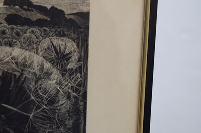 Lot 296 - George Tute RE (b.1933) - Signed limited edition wood engraving, 'Dandelion Field'