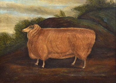 Lot 312 - Thomas Yeomans, (British, 1805-1860) - Oil on canvas - Primitive study of a sheep in a landscape