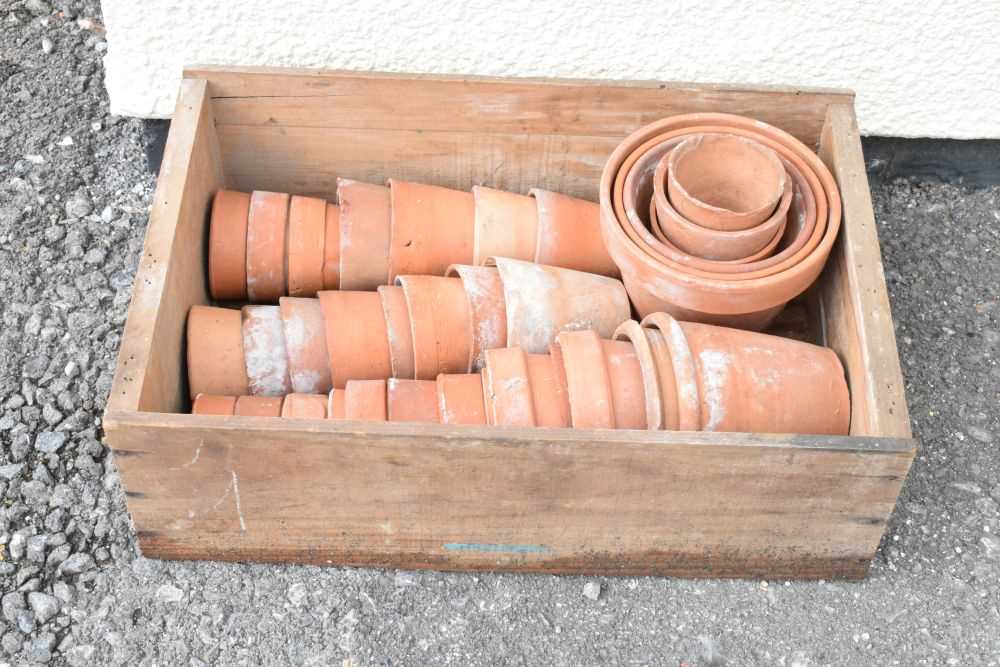 Lot 825 - Box of terracotta garden plant pots