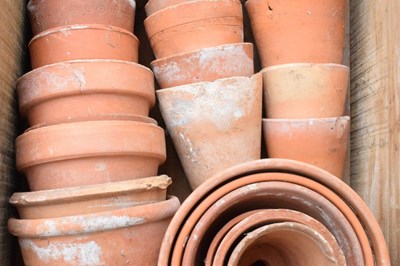 Lot 825 - Box of terracotta garden plant pots