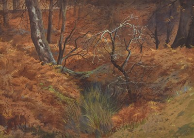 Lot 343 - Archibald Thorburn (British, 1860-1935) - Watercolour - Woodland Landscape