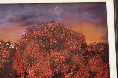Lot 506 - Sakko - Limited edition print - 'Land of Legends I'