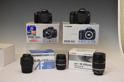 Lot 310 - Canon EOS 60D and 350D camera bodies, and camera lenses
