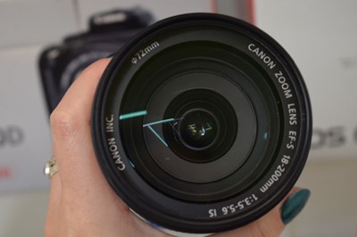 Lot 310 - Canon EOS 60D and 350D camera bodies, and camera lenses