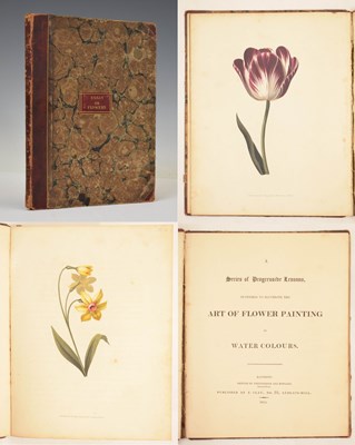 Lot 409 - F. Edward Hulme - 'Familiar Wild Flowers' - Seven volumes, and 'The Art of Flower Painting'