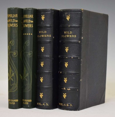 Lot 409 - F. Edward Hulme - 'Familiar Wild Flowers' - Seven volumes, and 'The Art of Flower Painting'