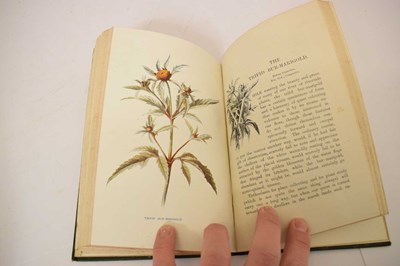 Lot 409 - F. Edward Hulme - 'Familiar Wild Flowers' - Seven volumes, and 'The Art of Flower Painting'