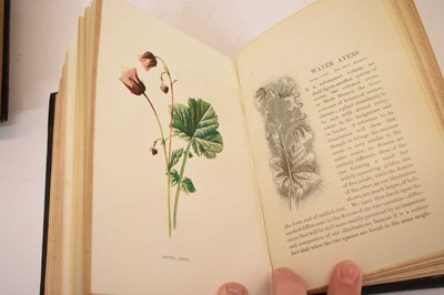 Lot 409 - F. Edward Hulme - 'Familiar Wild Flowers' - Seven volumes, and 'The Art of Flower Painting'