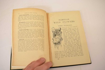 Lot 409 - F. Edward Hulme - 'Familiar Wild Flowers' - Seven volumes, and 'The Art of Flower Painting'