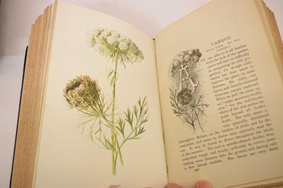 Lot 409 - F. Edward Hulme - 'Familiar Wild Flowers' - Seven volumes, and 'The Art of Flower Painting'