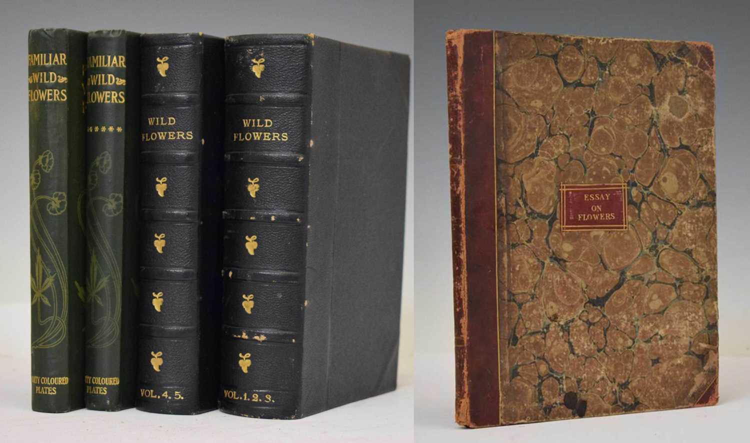 Lot 409 - F. Edward Hulme - 'Familiar Wild Flowers' - Seven volumes, and 'The Art of Flower Painting'