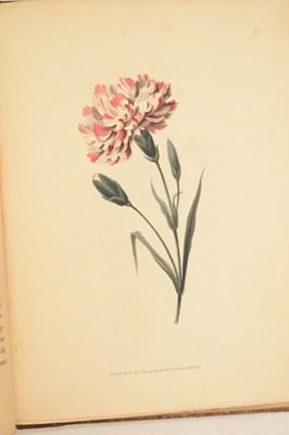 Lot 409 - F. Edward Hulme - 'Familiar Wild Flowers' - Seven volumes, and 'The Art of Flower Painting'