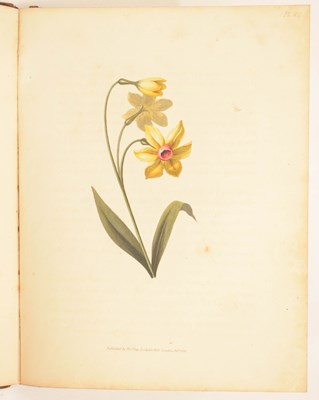 Lot 409 - F. Edward Hulme - 'Familiar Wild Flowers' - Seven volumes, and 'The Art of Flower Painting'