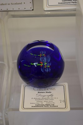 Lot 573 - Collection of eleven limited edition Caithness glass paperweights