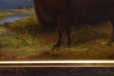 Lot 263 - Primitive School - Oil on canvas - Longhorn bull