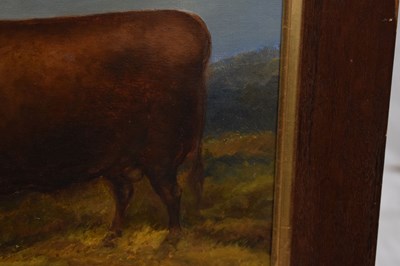Lot 263 - Primitive School - Oil on canvas - Longhorn bull