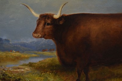 Lot 263 - Primitive School - Oil on canvas - Longhorn bull