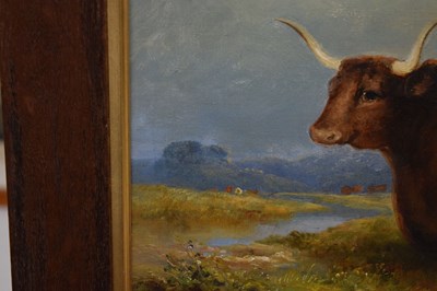 Lot 263 - Primitive School - Oil on canvas - Longhorn bull