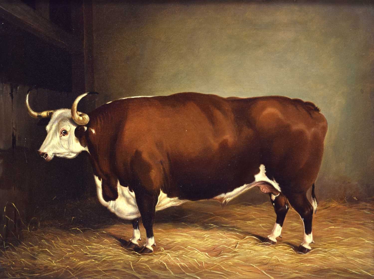 Lot 262 - Primitive School, mid 19th century - Longhorn bull in a cowshed