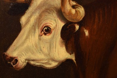Lot 262 - Primitive School, mid 19th century - Longhorn bull in a cowshed