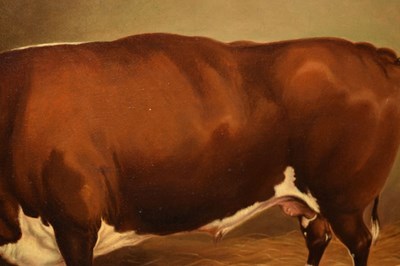 Lot 262 - Primitive School, mid 19th century - Longhorn bull in a cowshed