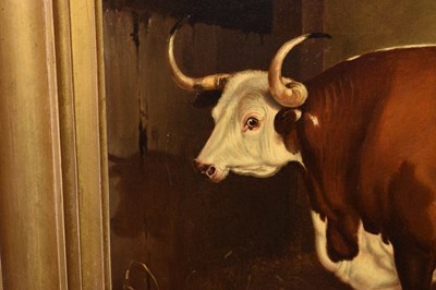 Lot 262 - Primitive School, mid 19th century - Longhorn bull in a cowshed