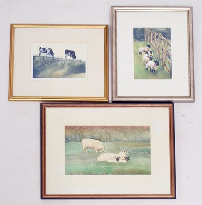 Lot 496 - Ann Blockley (British, Modern) - Two watercolours - Sheep, lambs and a signed print