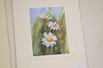 Lot 497 - Ann Blockley (British, Modern) - Watercolours and prints - Floral studies