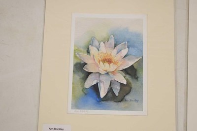 Lot 497 - Ann Blockley (British, Modern) - Watercolours and prints - Floral studies