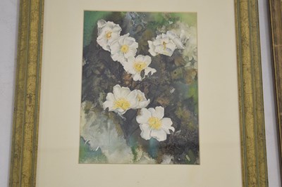 Lot 497 - Ann Blockley (British, Modern) - Watercolours and prints - Floral studies