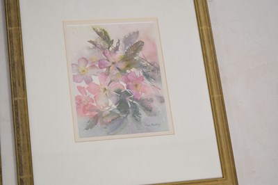 Lot 497 - Ann Blockley (British, Modern) - Watercolours and prints - Floral studies