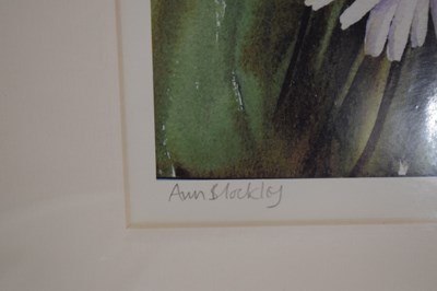 Lot 497 - Ann Blockley (British, Modern) - Watercolours and prints - Floral studies