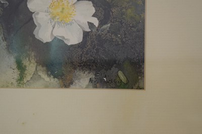 Lot 497 - Ann Blockley (British, Modern) - Watercolours and prints - Floral studies