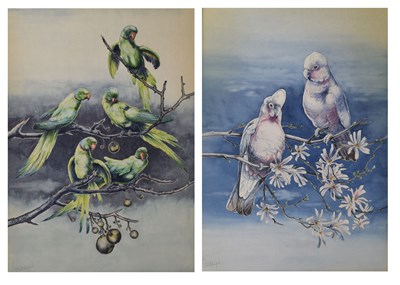 Lot Stuart Maxwell Armfield (British, 1916-2000) - Two watercolour studies - Lovebirds