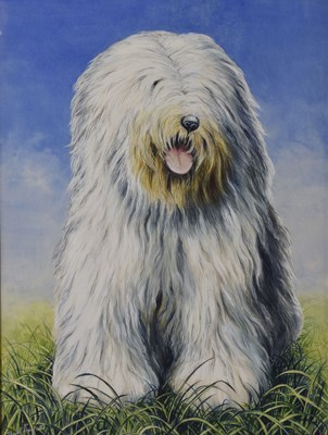 Lot Stuart Maxwell Armfield (British, 1916-2000) - Watercolour of an Old English Sheepdog