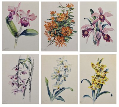 Lot 601 - Stuart Maxwell Armfield, (1916-2000) - Watercolour - Floral studies