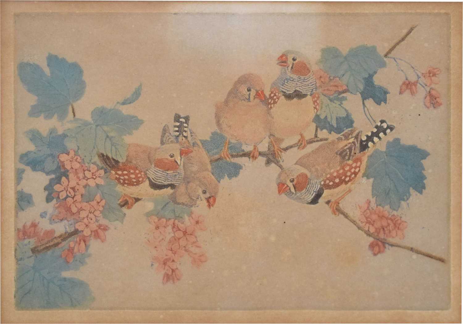 Lot 488 - Winifred Marie Louise Austin (1876-1964) - Artist's proof - Zebra finches on a branch
