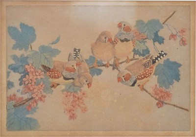Lot 488 - Winifred Marie Louise Austin (1876-1964) - Artist's proof - Zebra finches on a branch