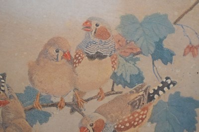 Lot 488 - Winifred Marie Louise Austin (1876-1964) - Artist's proof - Zebra finches on a branch