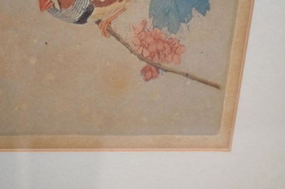 Lot 488 - Winifred Marie Louise Austin (1876-1964) - Artist's proof - Zebra finches on a branch