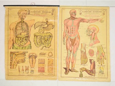 Lot 189 - Two A.L Education Series Elementary Physiology Hygiene & Ambulance charts