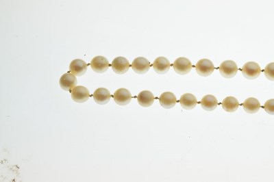 Lot 54 - Graduated row of cultured pearls