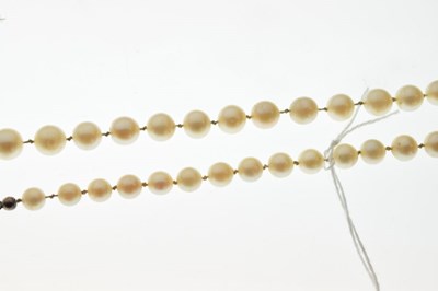 Lot 54 - Graduated row of cultured pearls
