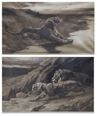 Lot 461 - After Herbert T. Dicksee (British, 1862-1942) - Lion Etchings - 'Maternal Care' and 'Raiders'