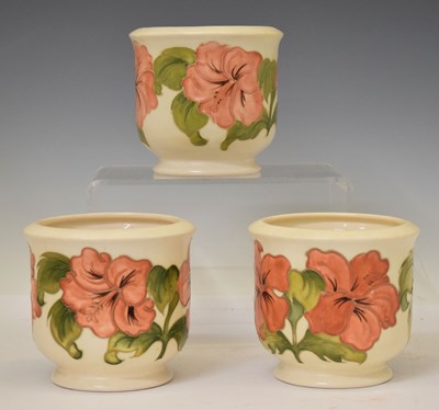 Lot 316 - Set of three Moorcroft Hibiscus pattern jardinières