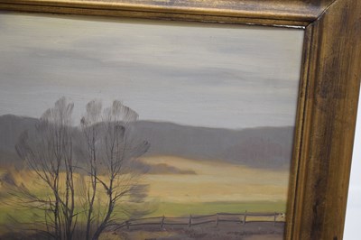 Lot 454 - Arthur Nielsen (Danish, 1883-1946) - Oil on board - Rural Landscape