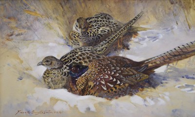 Lot Frank Southgate, RBA (British, 1872-1916) - Watercolour - Cock pheasant and two hen pheasants