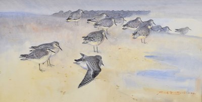 Lot Frank Southgate RBA (British, 1872-1916) - Watercolour - Oystercatchers