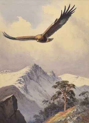 Lot John Cyril Harrison (British, 1898-1985) - Watercolour - Soaring Eagle