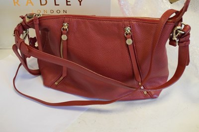 Lot 254 - Radley - Two lady's handbags